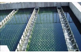 【干貨】生物濾池為什么一受沖擊氨氮去除率就會(huì)下降？