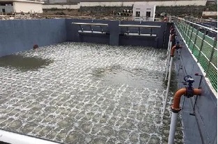 碳源的價格水漲船高，污水廠如何減少碳源投加量來降低成本？