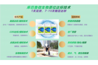 春節(jié)復(fù)工，生化系統(tǒng)快速修復(fù)，確保污水達(dá)標(biāo)排放